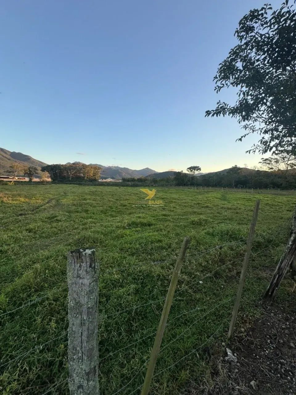 Terreno à Venda - Aririú, Palhoça/SC - Foto 3