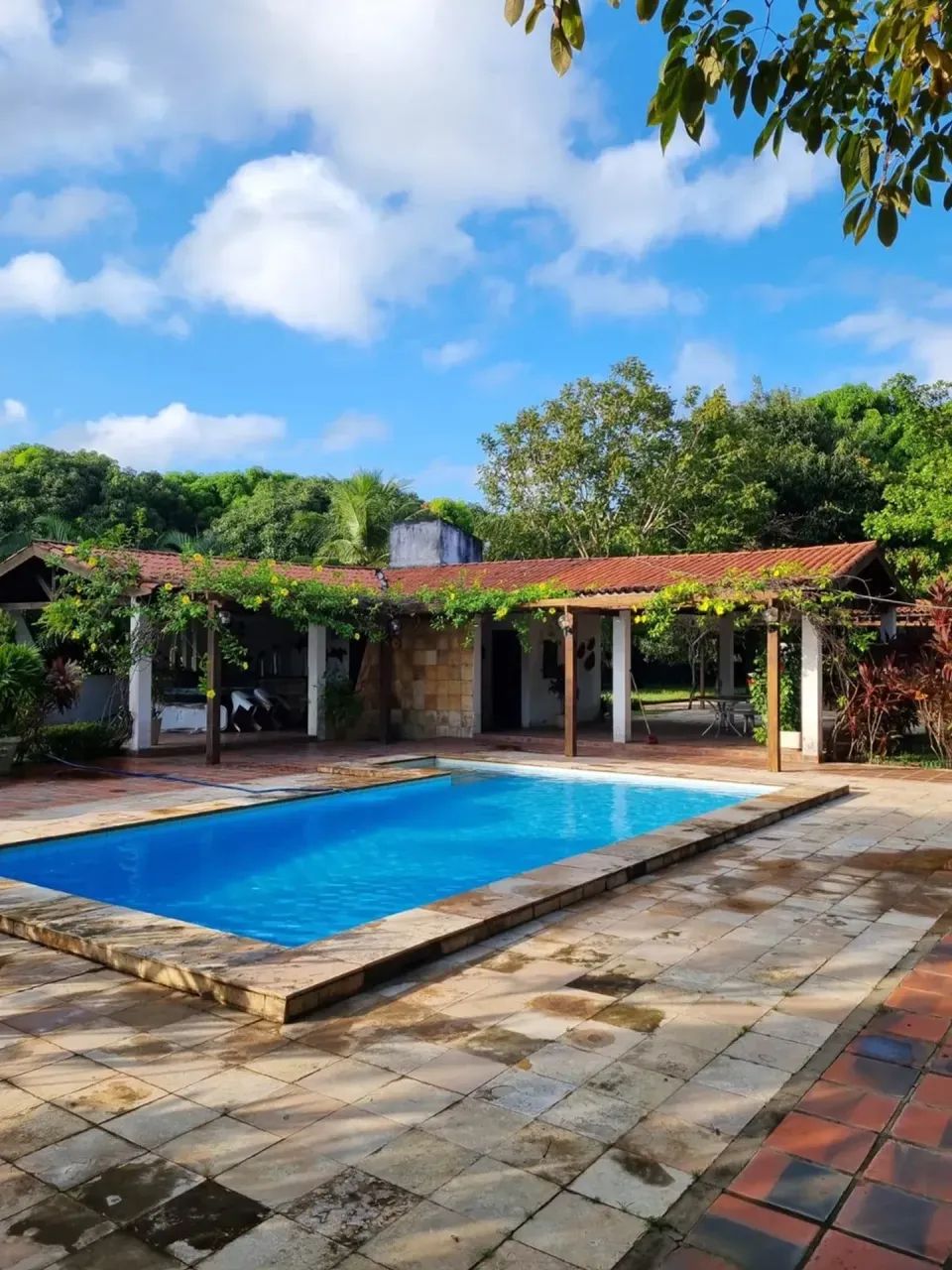 SITIO EM TAPERA AQUIRAZ - Foto 3