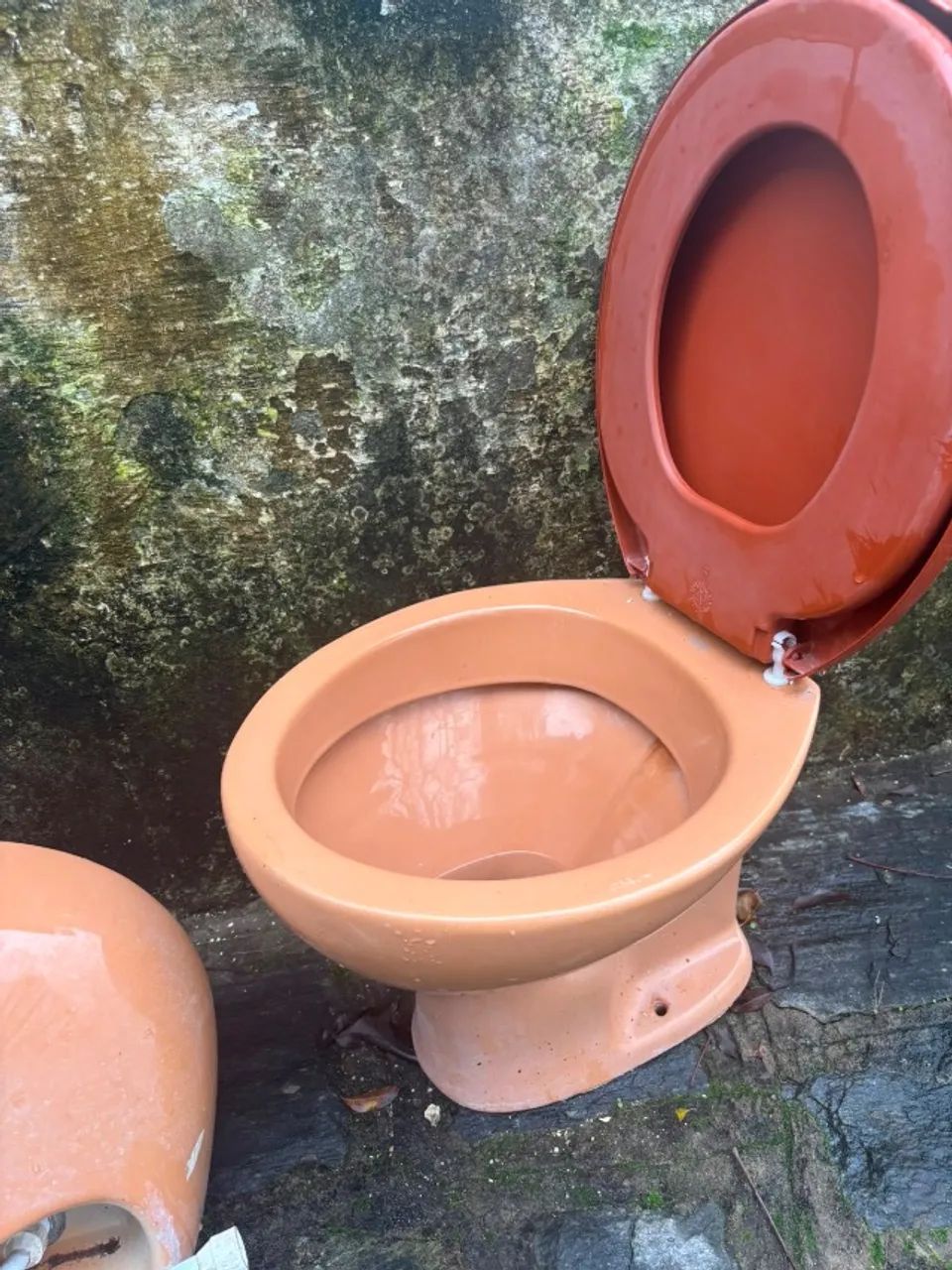 Pia e vaso sanitário 