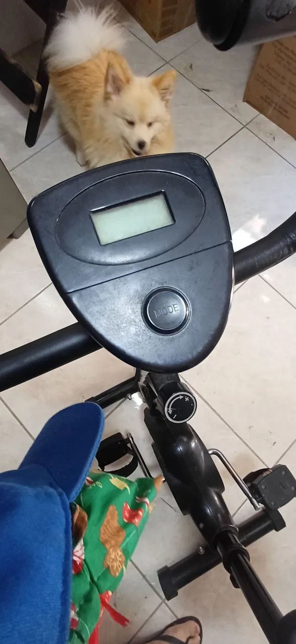 Bicicleta Ergométrica Vertical Gallant Trainer - Foto 5
