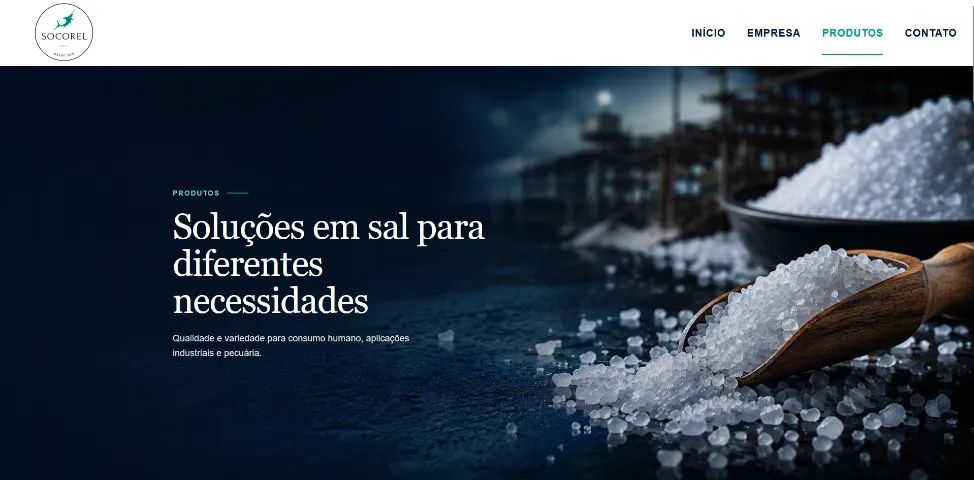 CRIAÇÃO DE SITE INSTITUCIONAL PARA EMPRESAS - Foto 4