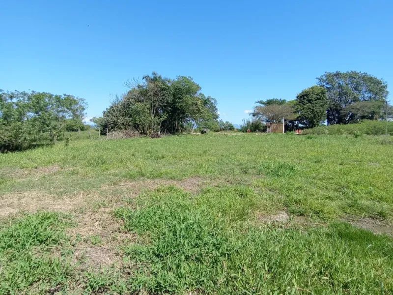 Terreno area industrial e comercial margem da BR 101 - Foto 5