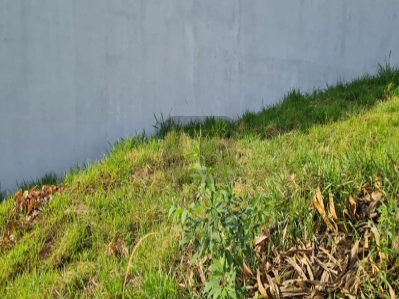 terreno - Jardim Ibirapuera - Campinas - Foto 2