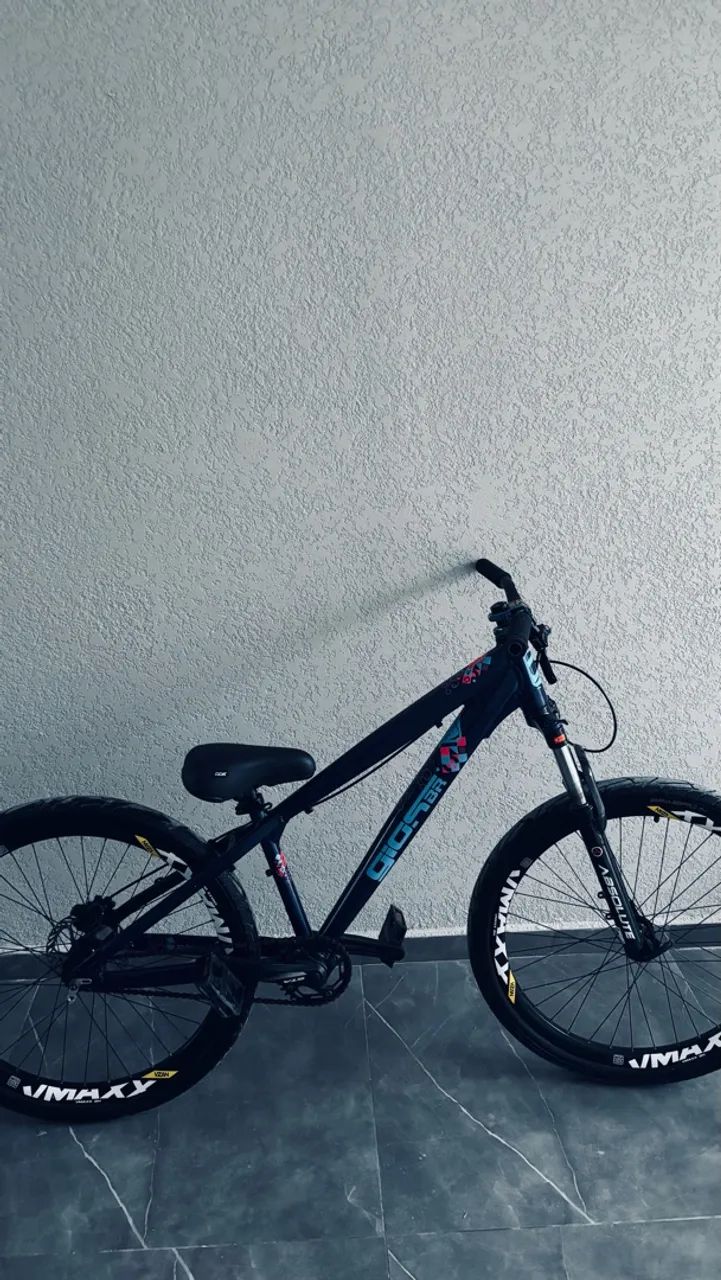 Bike gios evo