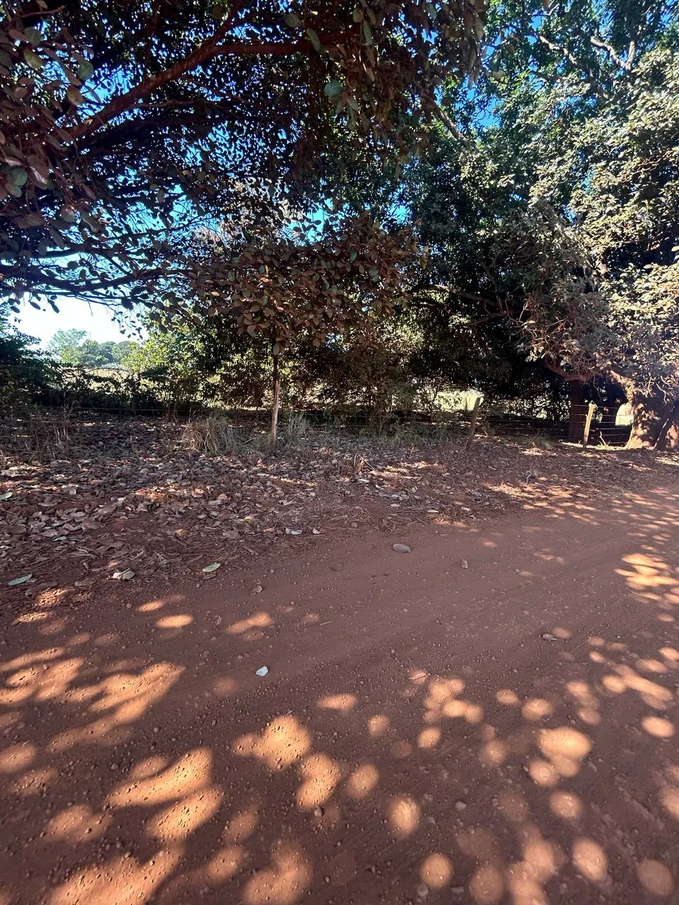 Agroindústrial - Foto 2
