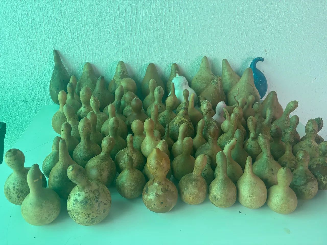 Vende-se cabaças  - Foto 2