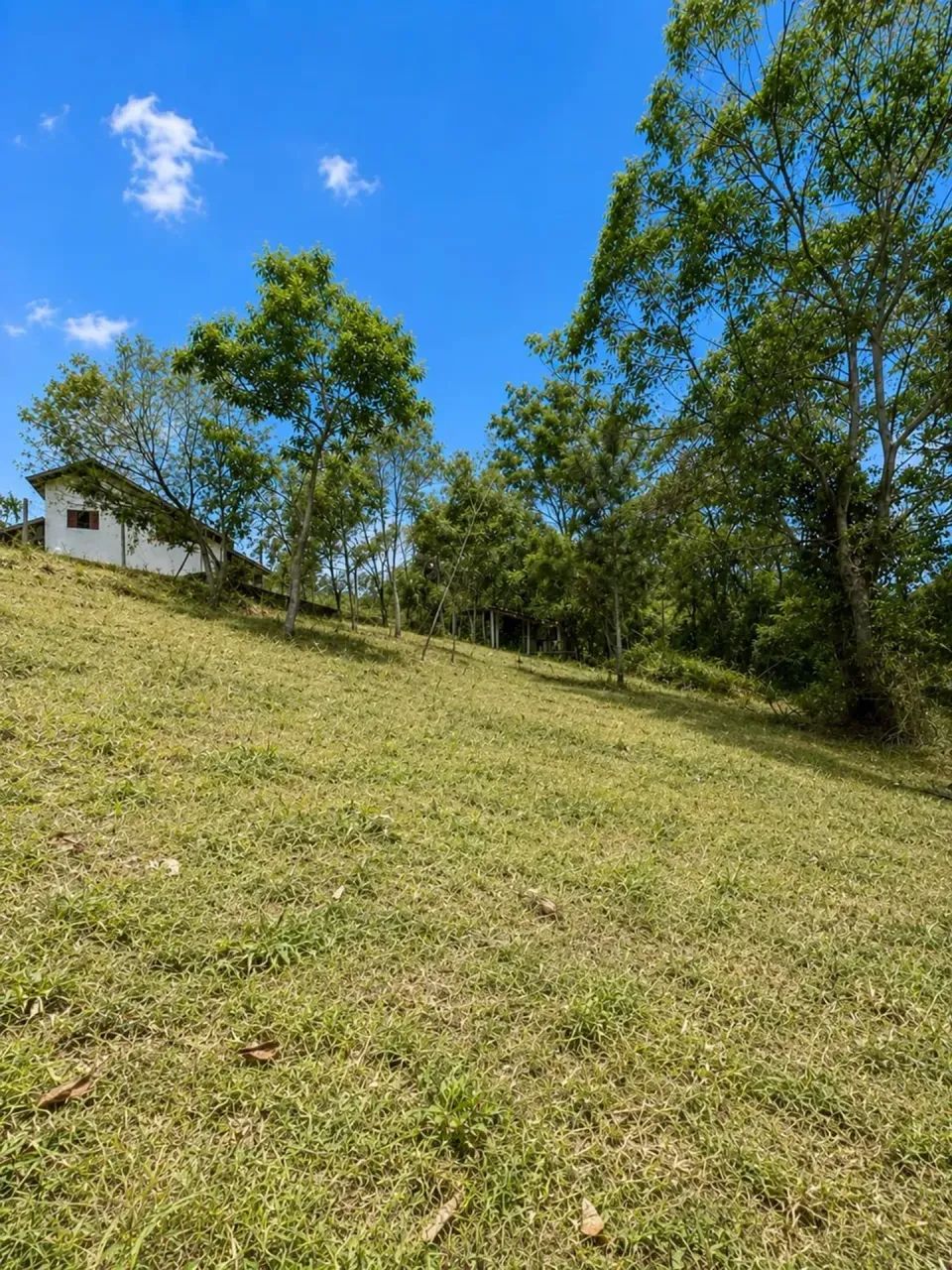 vendo terrenos de 1000m no interior de Sp