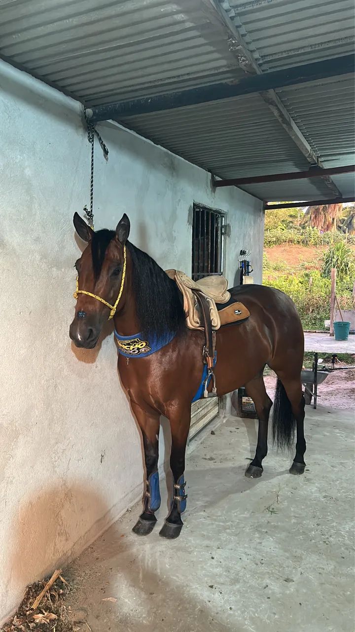 ? POTRA QM DISPONíVEL?    - Foto 2