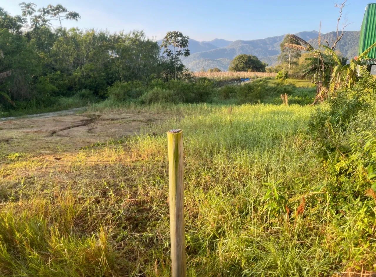 Terreno em Santo Amaro da Imperatriz  - Foto 2