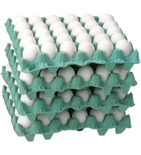Bandeja de ovos com 30 ovos 