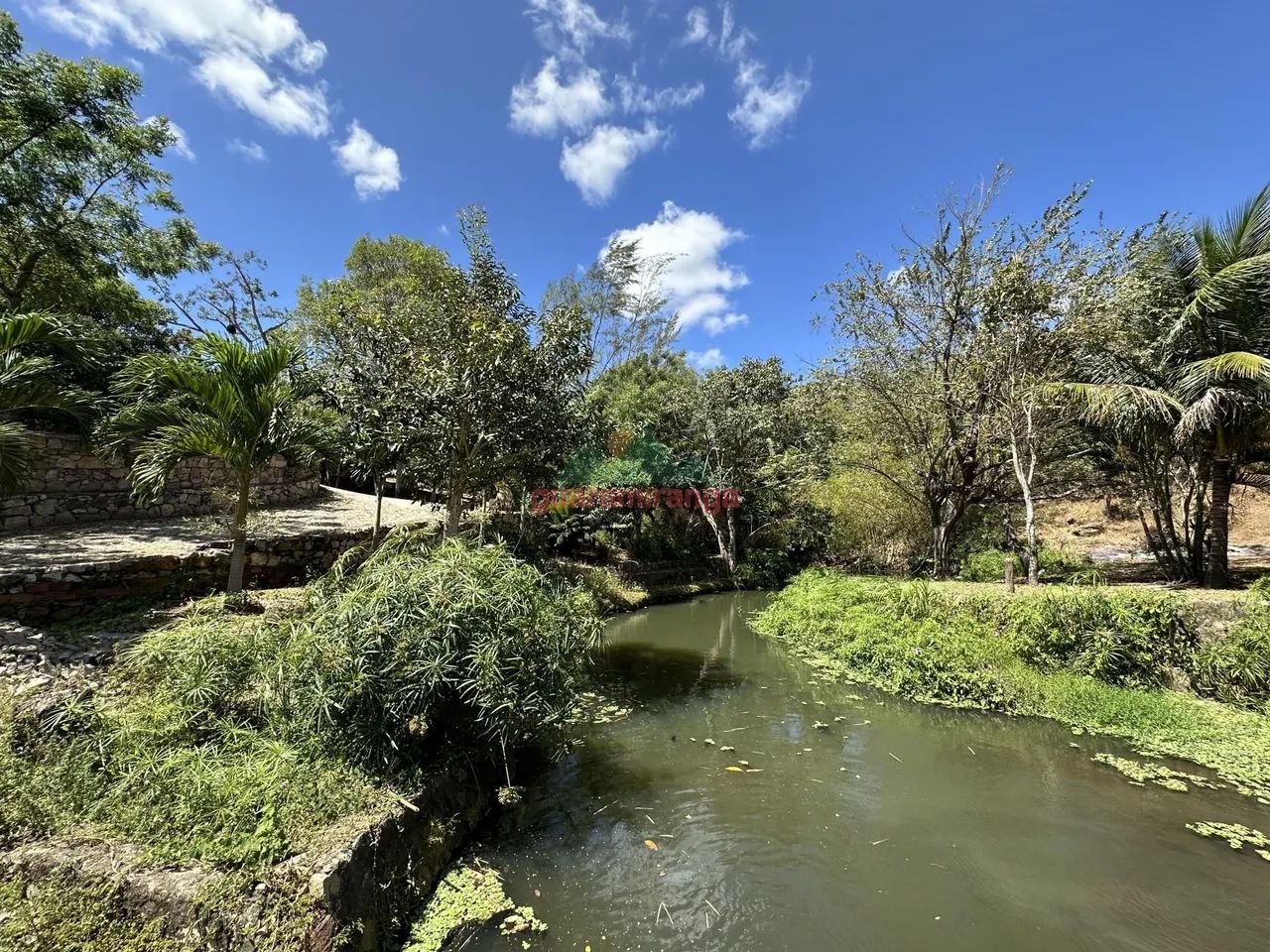 BALEARIO A VENDA EM PACOTI COM RIO PERENE - Foto 5