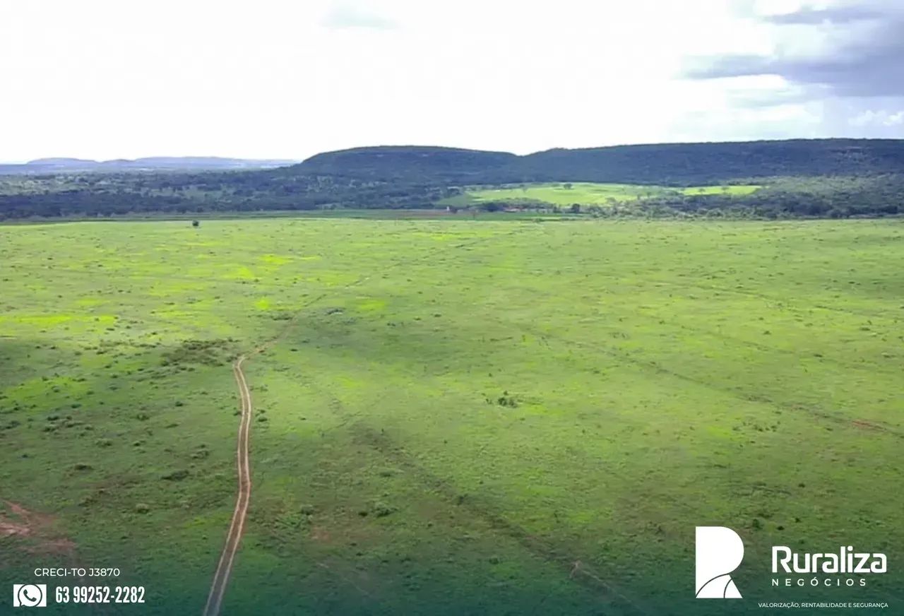 126 HA COM POTENCIAL PARA LAVOURA | NASCENTES E POÇO ARTESIAN - Foto 5