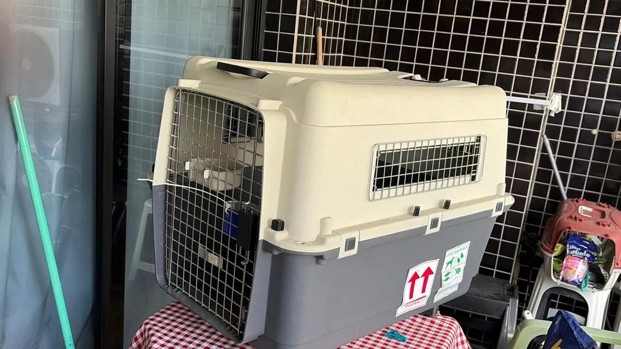 Caixa para levar animais  - Foto 5