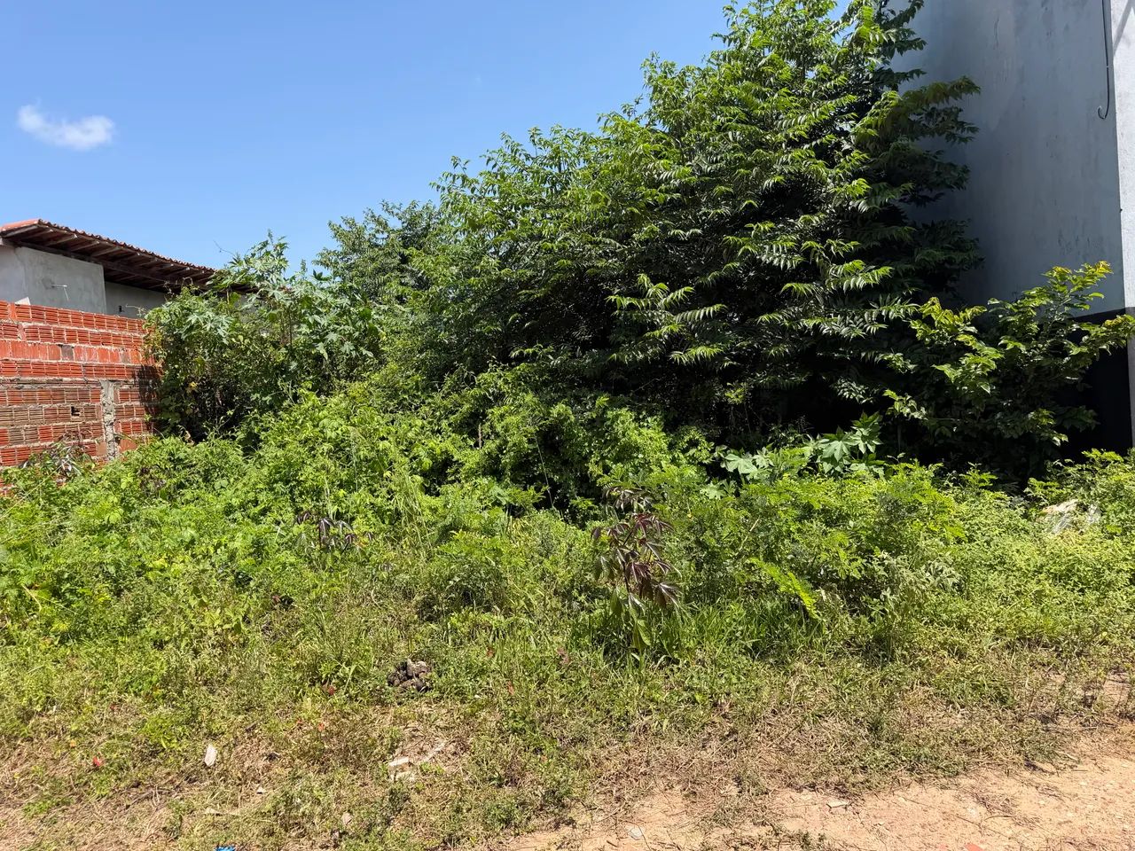 Vende-se - Foto 2