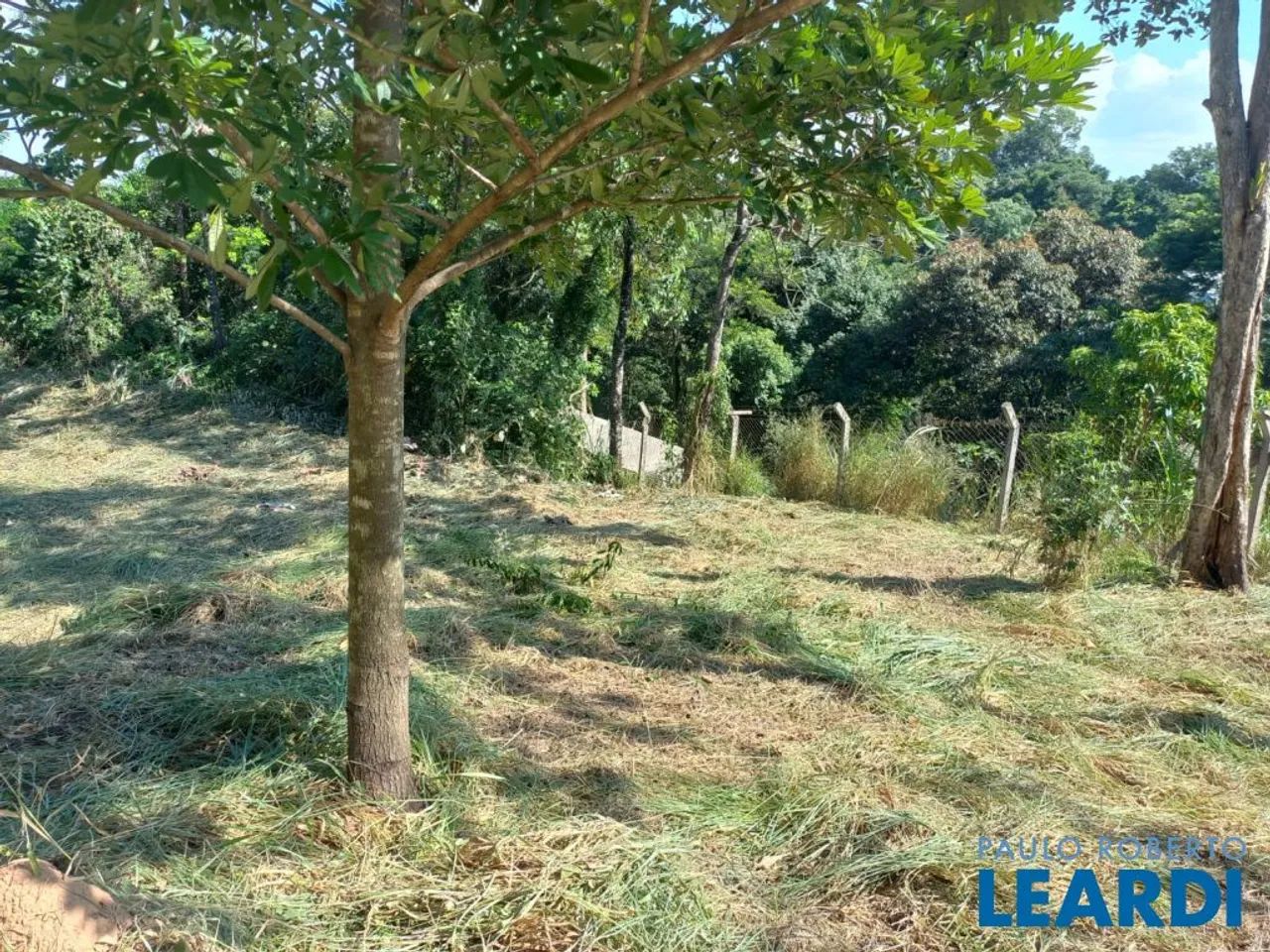 TERRENO - VISTA ALEGRE - SP - Foto 4