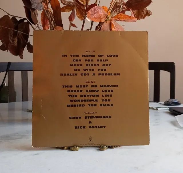 lp vinil / rick astley / free / 1991 / com encarte - Foto 2