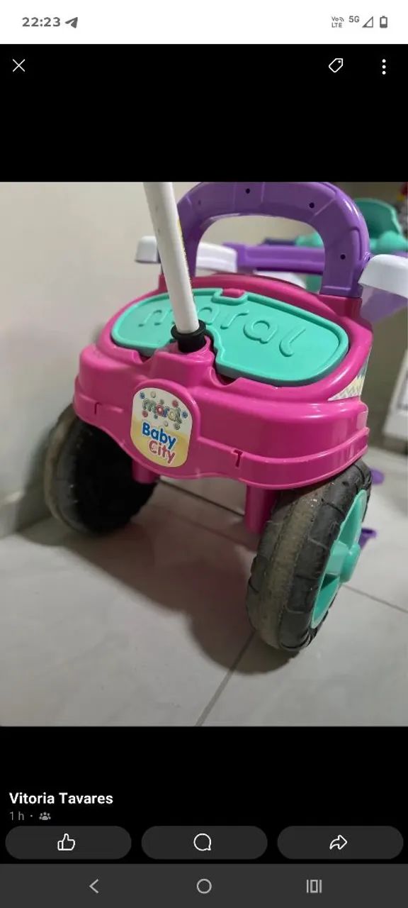 Carinho passeio 