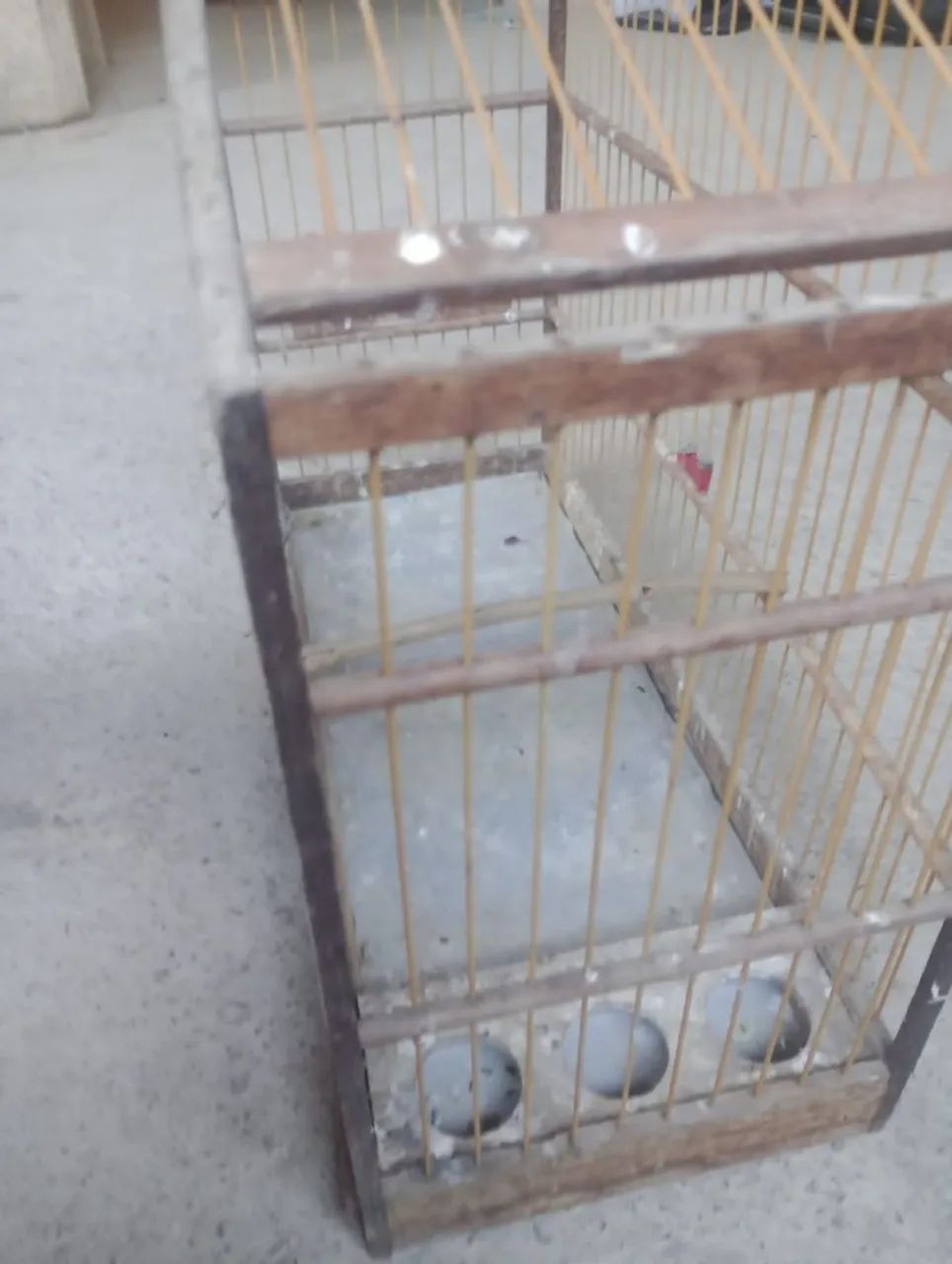 Gaiola passarinho  - Foto 3