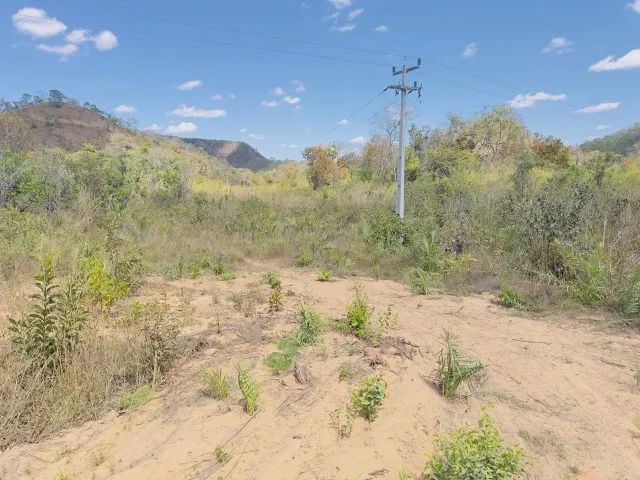 Vendo chácara 50 hectares  - Foto 4