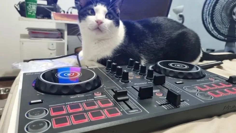 Ddj 200