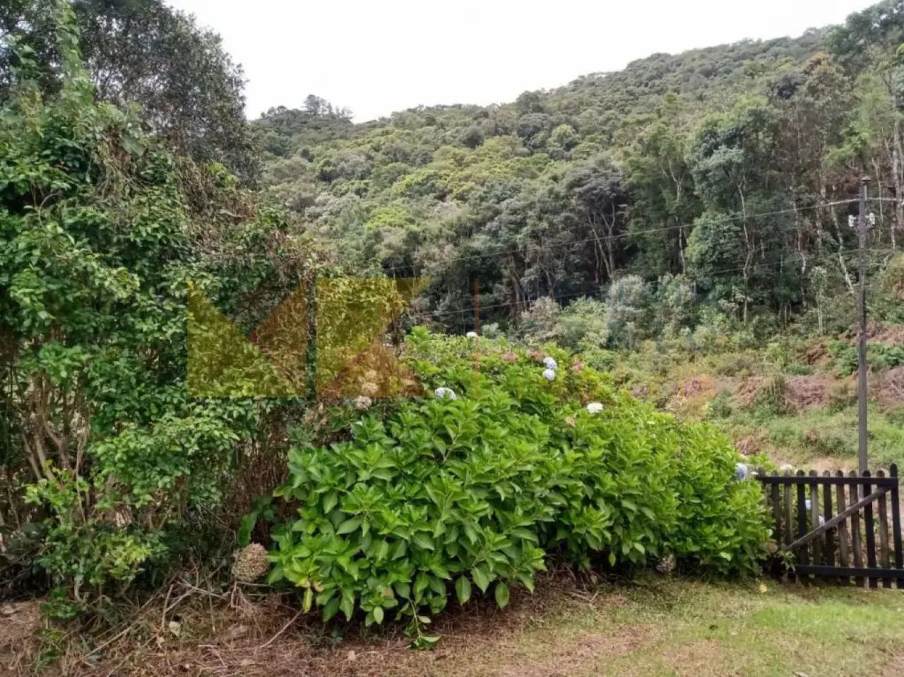 Sitio em Rio dos Cedros a venda - Foto 2