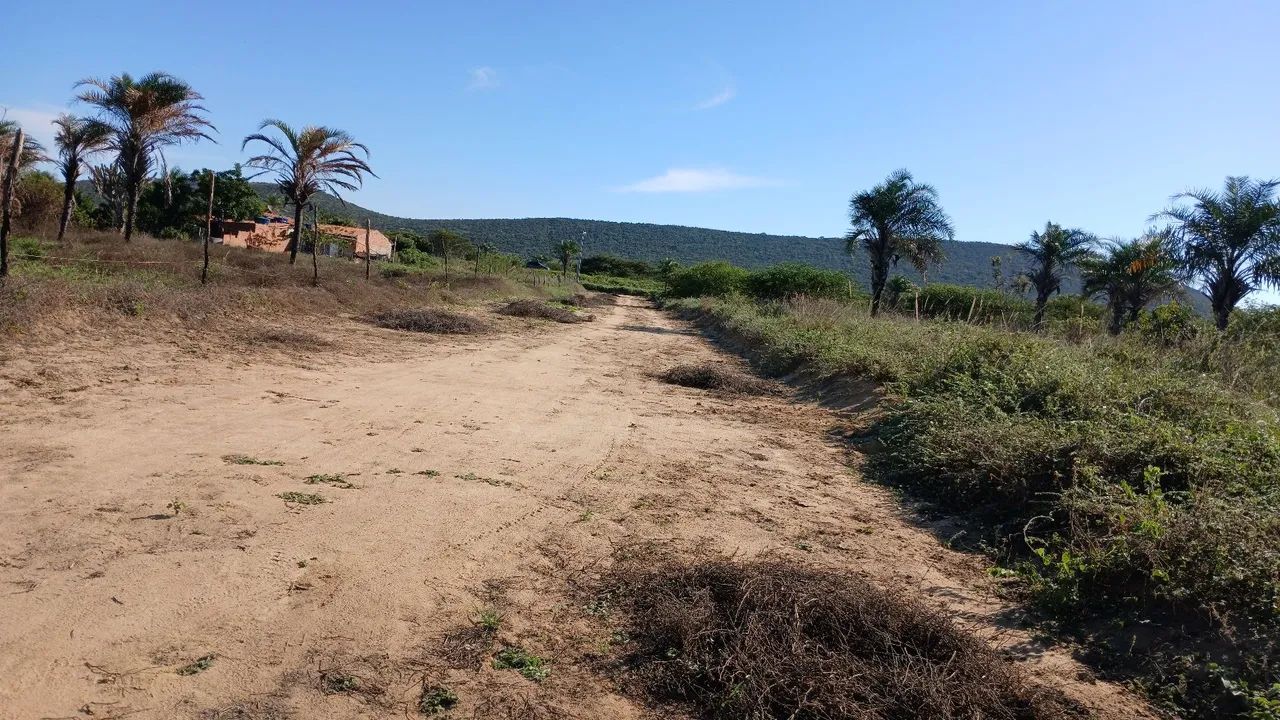 70 tarefas  - Foto 3
