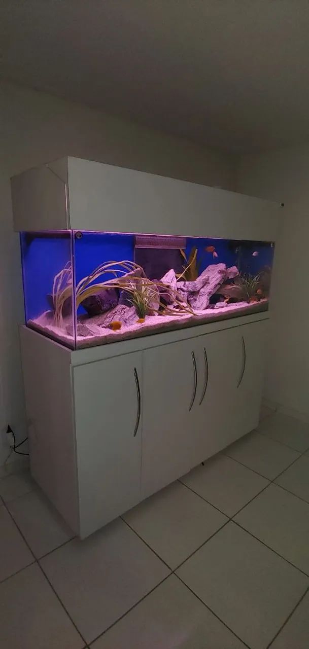 AQUÁRIO (SEM PEIXES) GRANDE 1,60X0,60X0,60M COM SUMP, BOMBA, MÓVEL, ETC. 