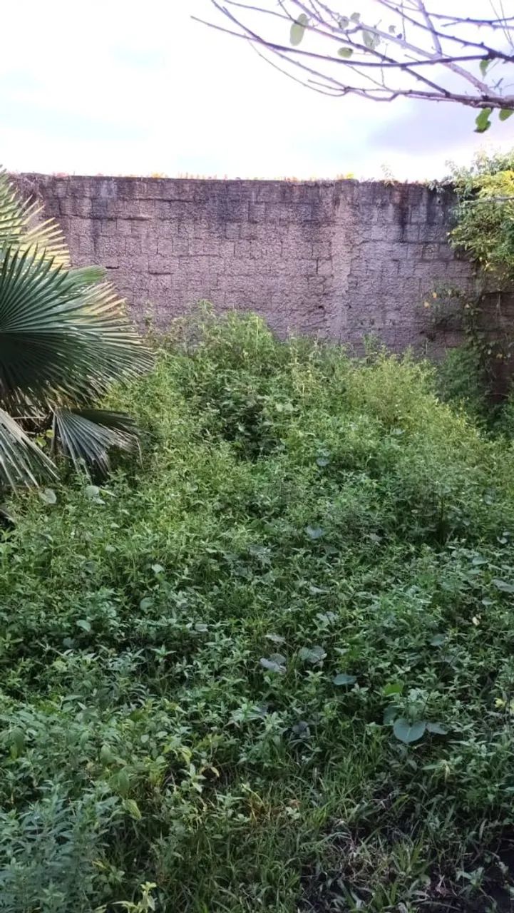 OPORTUNIDADE EM PACATUBA  - Foto 4