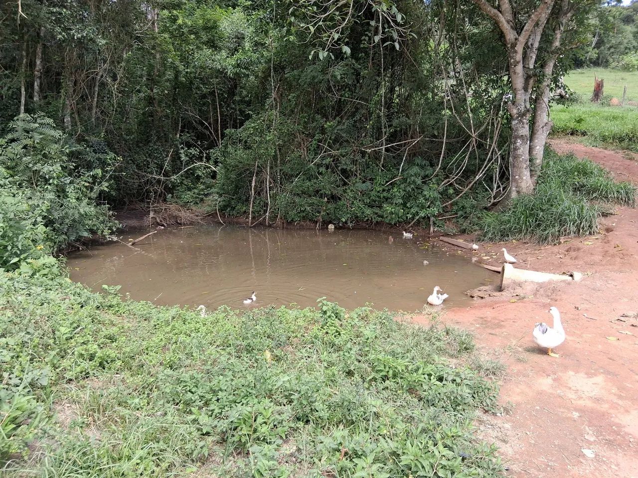 Foto - Atibaia - Jardim Alvinópolis