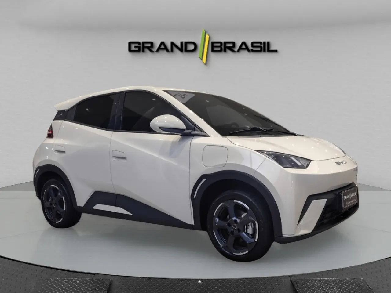 BYD Dolphin Mini (Elétrico) 2024