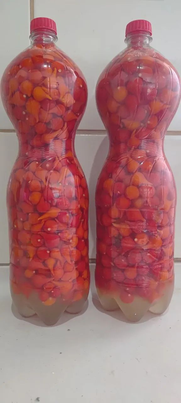 Pimenta biquinho e malagueta - Foto 3