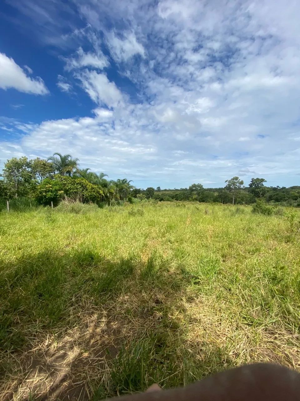 Fazenda 48 hectares  - Foto 3