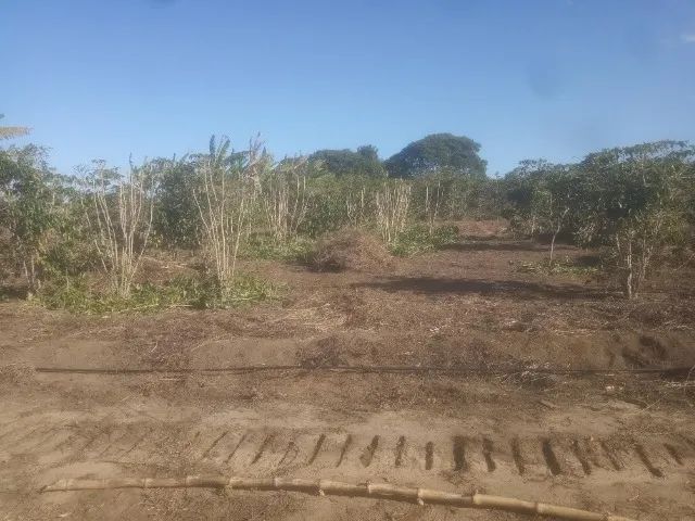 Vendo terreno rural , Paraguaçu do catolé  - Foto 3