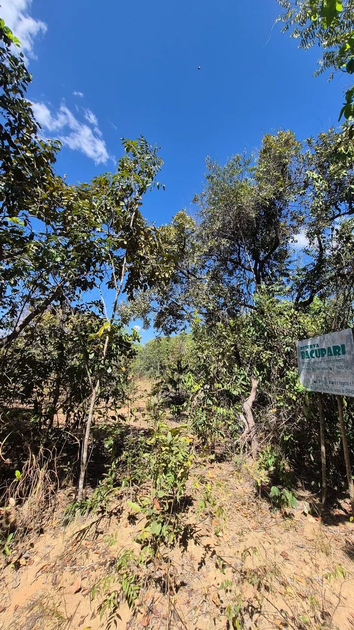 Terreno em Cavalcante Chapada dos veadeiros