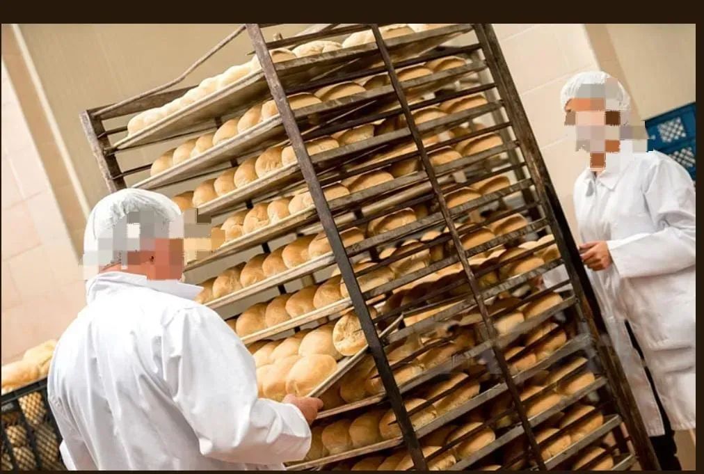 Indústria de pão embalado - Foto 2
