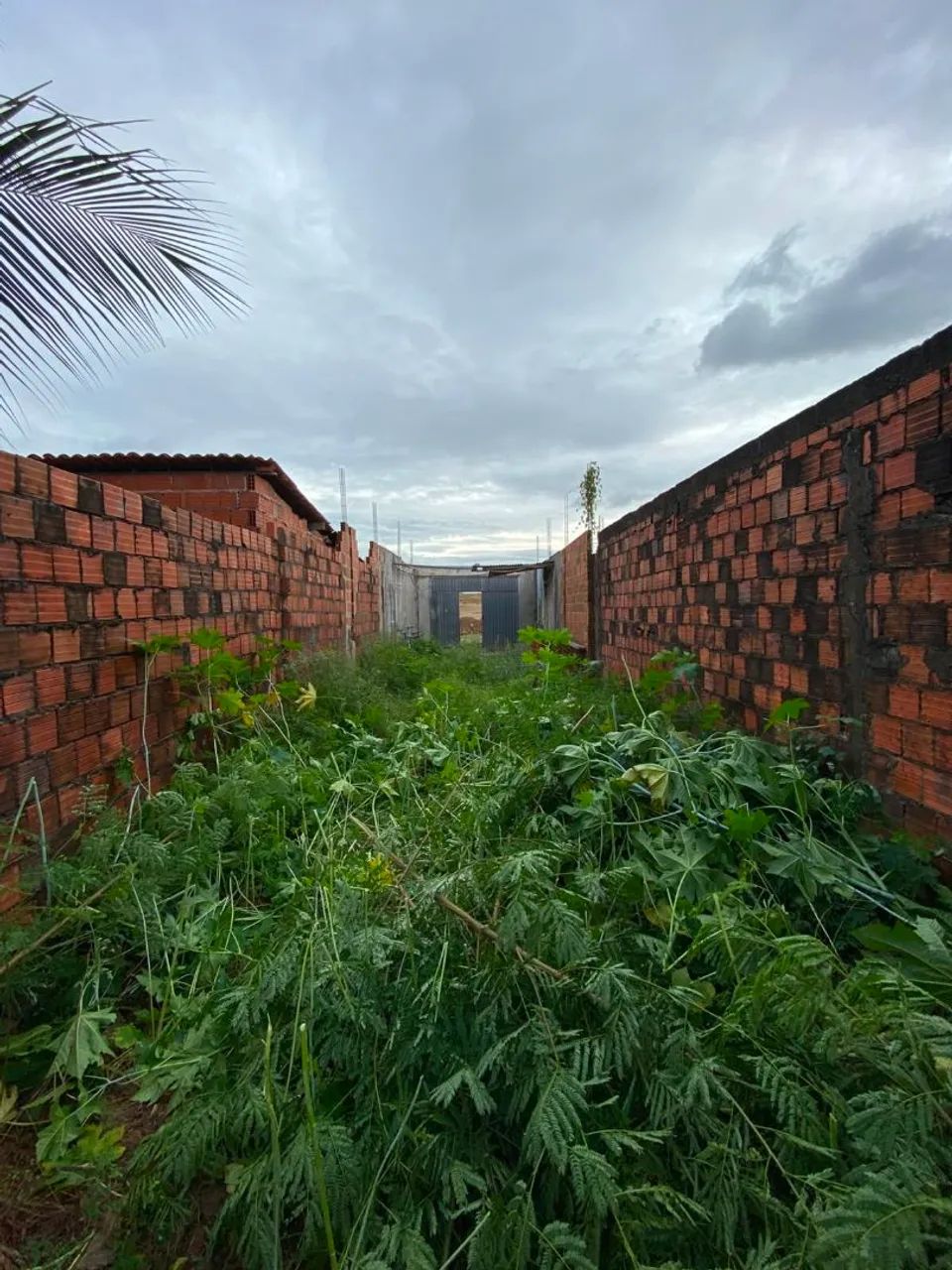 Terreno à venda - Granja Lisboa | Pronto para construir! - Foto 5