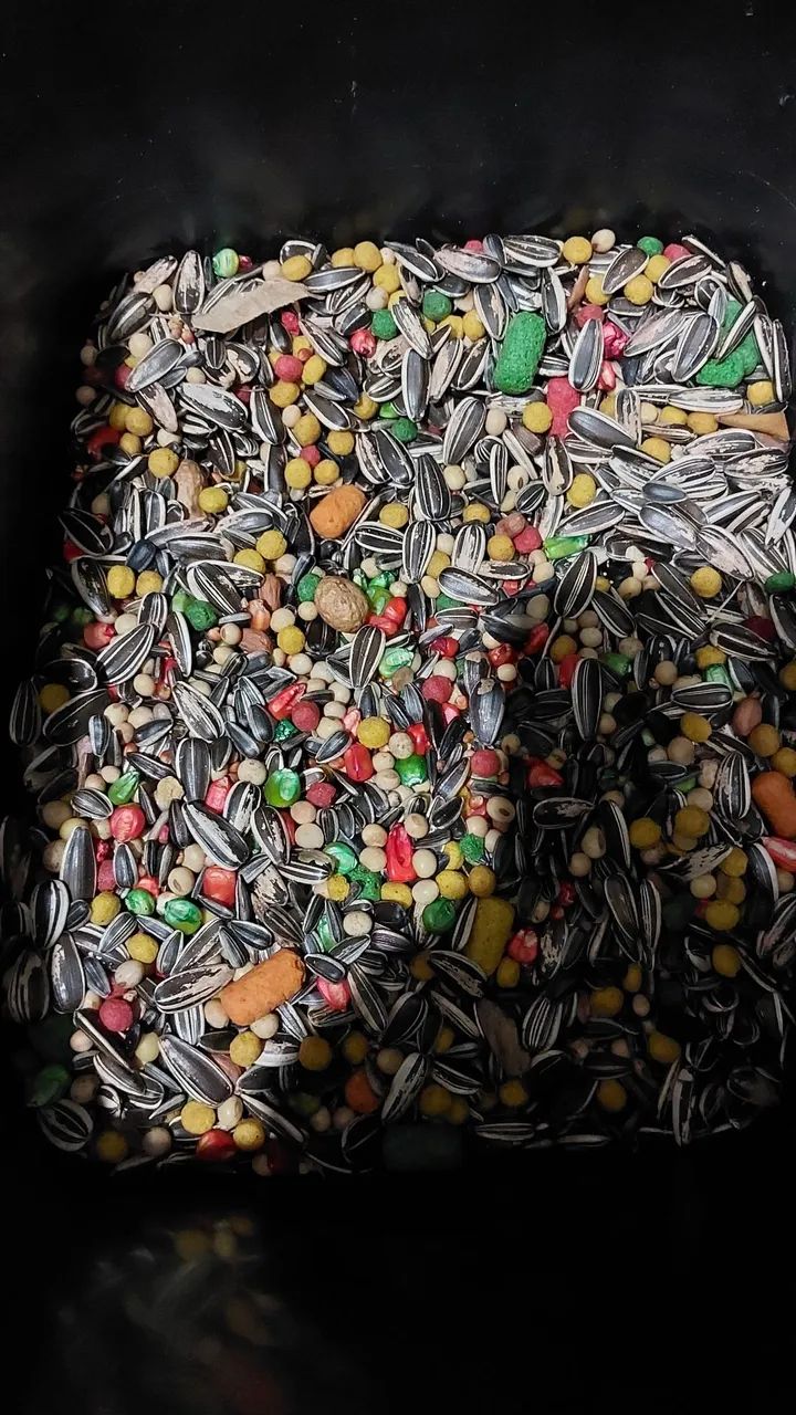 Troco camundongos por itens de pesca LEIA O ANÚNCIO!!! - Foto 3