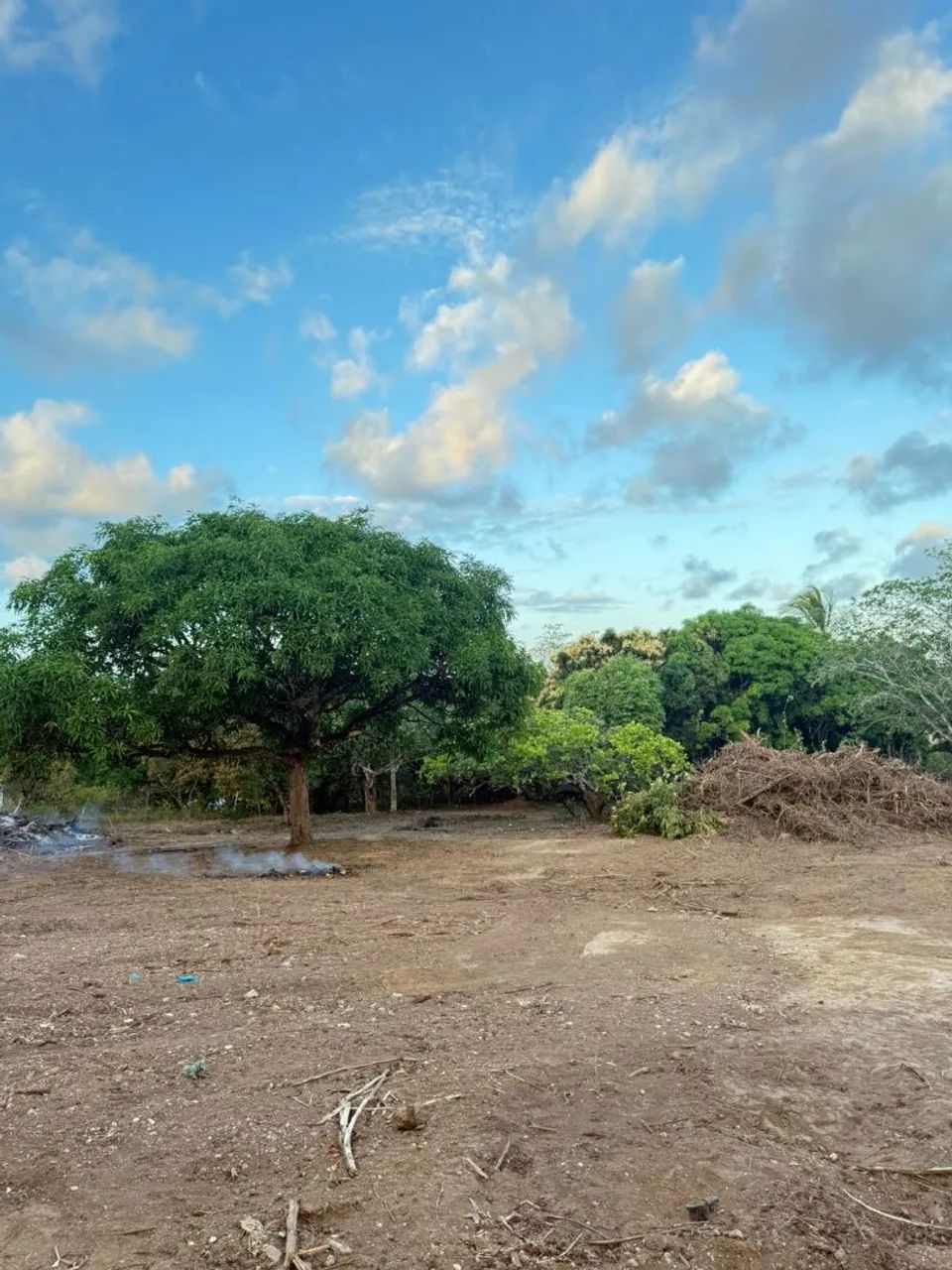 Vendo ou troco sítio em socorro  - Foto 2