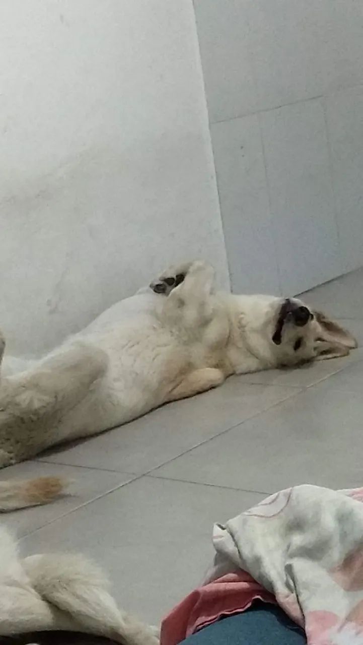 Doação consciente  - Foto 4