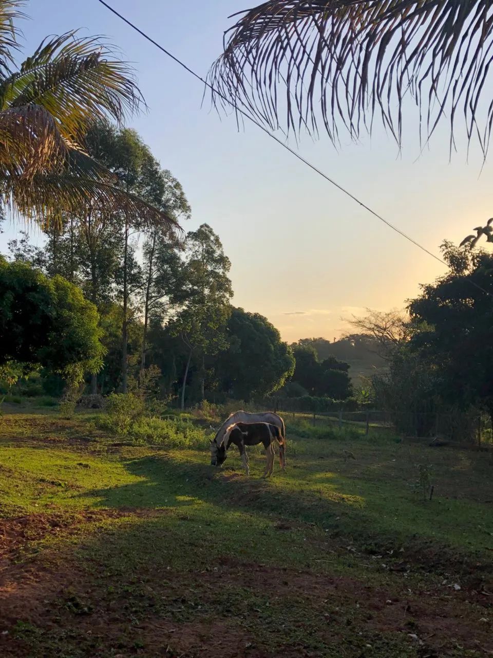 Vendo Chácara ótima localização  - Foto 3