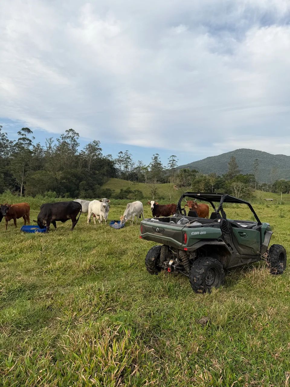 UTV CAN AM COMMANDER 1000R 2022 - Foto 4