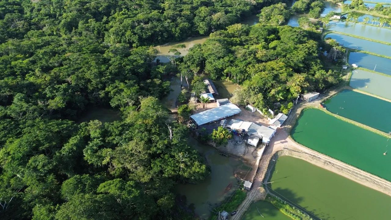 Banho do projeto 