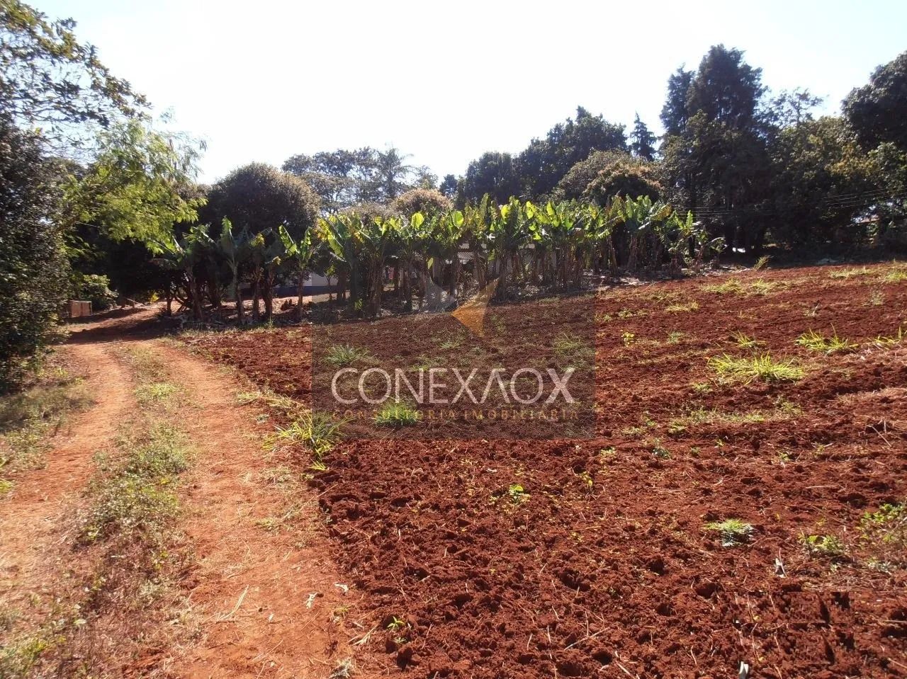 área - Betel - Paulínia - Foto 5