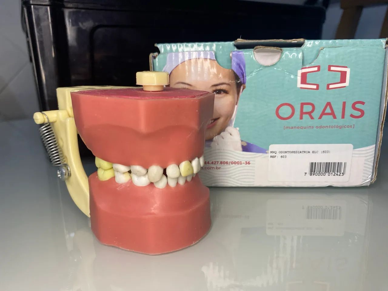 Manequim Odontopediatria 