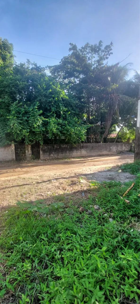 Foto - Vera Cruz - 