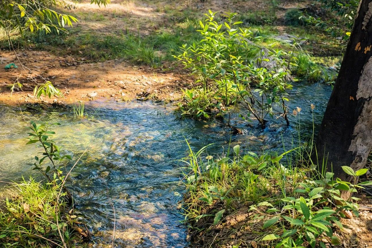 Foto - Barreiras - Centro