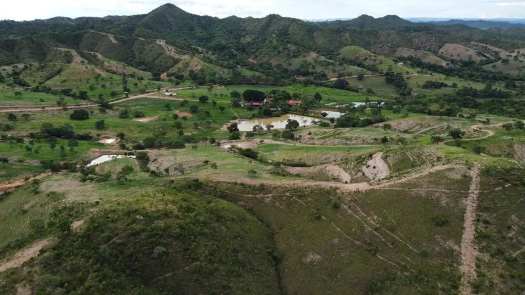 Fazenda de 32 alqueires em Padre Bernardo  - Foto 2