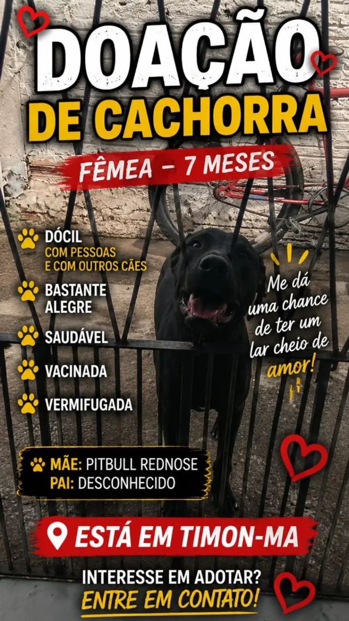 Doacao de cachorro  - Foto 2