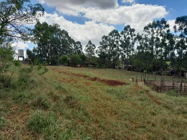 Chácara á venda - Paiçandu   - Foto 2