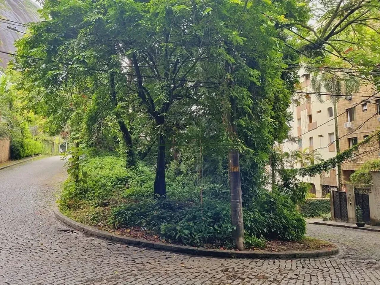 Lagoa - Terreno  Vitória Régia - Foto 4